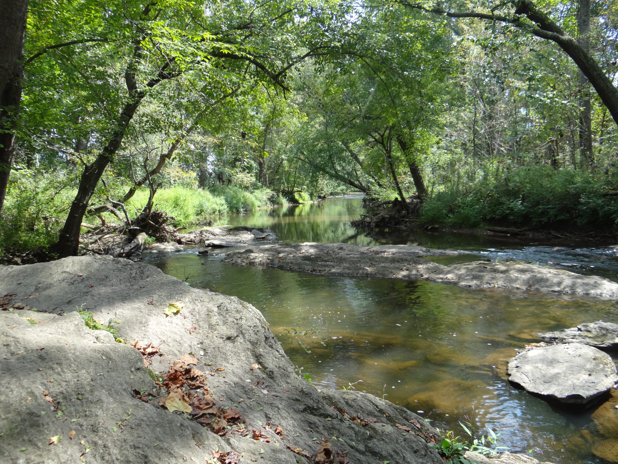 15th Century Cherokee of the Swannanoa Valley II Swannanoa Valley