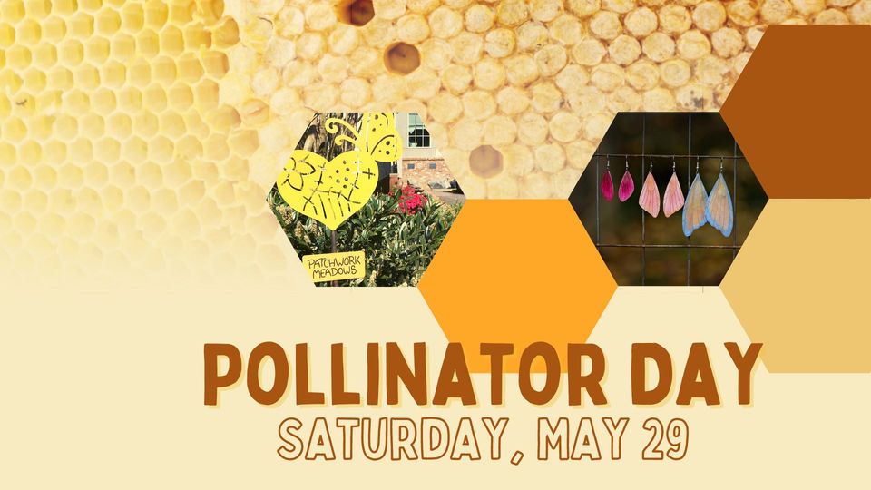 Pollinator Day Swannanoa Valley Museum & History Center